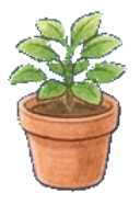 植木鉢1