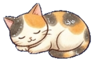 ねこちゃん1